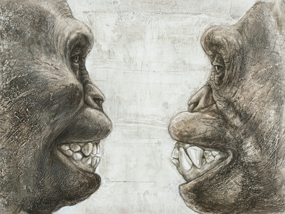 Australopithecus And Chimpanzee Teeth Photographic Print by Kennis and Kennis