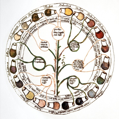 Medieval Urine Wheel Photographic Print by Sheila Terry