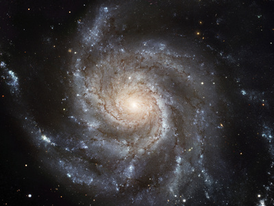 Spiral Galaxy M101 Photographic Print by  NASA