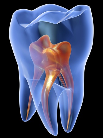 Molar Tooth Photographic Print by  PASIEKA