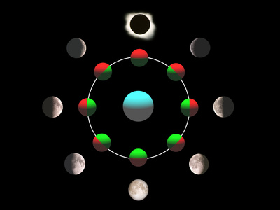 Composite Time-lapse Image of the Lunar Phases Photographic Print by John Sanford