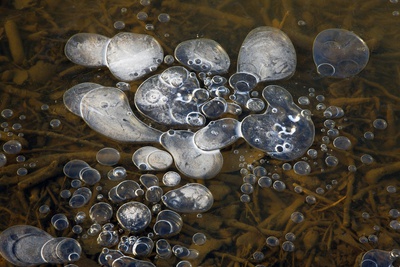 Methane Bubbles Photographic Print by Dr. Keith Wheeler