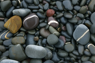 Pebbles on a Beach Photographic Print by Dr. Keith Wheeler