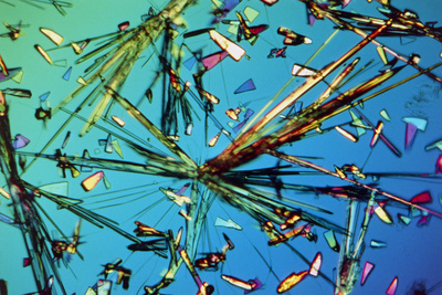 Ampicillin Antibiotic Drug Crystals Photographic Print by John Walsh