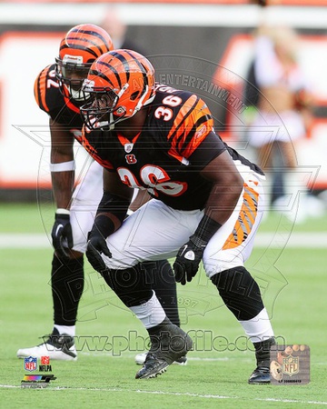 Cincinnati Bengals - Chris Pressley Photo Photo