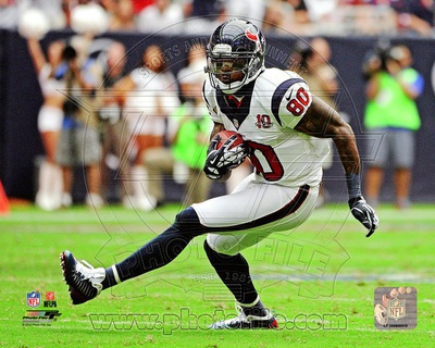 Houston Texans - Andre Johnson Photo Photo