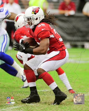 Arizona Cardinals - Andre Ellington Photo Photo