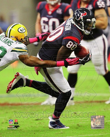 Houston Texans - Andre Johnson Photo Photo