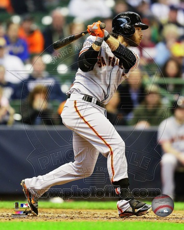 San Francisco Giants - Brandon Crawford Photo Photo