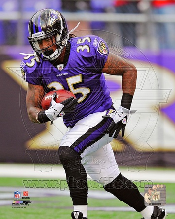 Baltimore Ravens - Anthony Allen Photo Photo