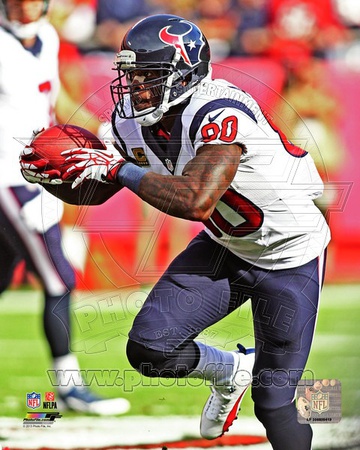 Houston Texans - Andre Johnson Photo Photo