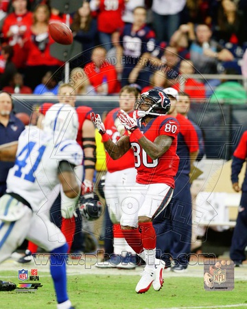 Houston Texans - Andre Johnson Photo Photo