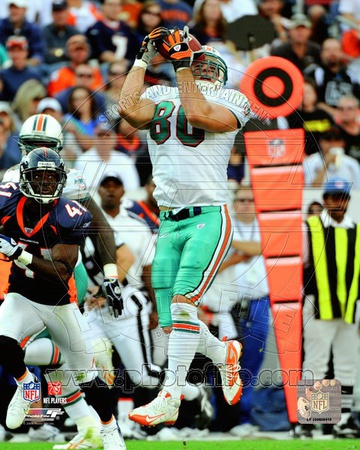 Miami Dolphins - Anthony Fasano Photo Photo