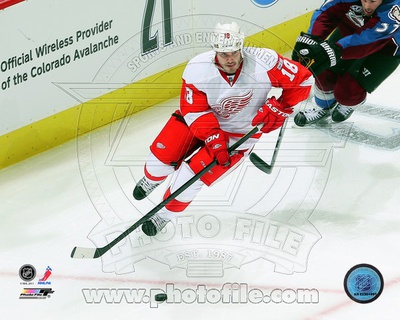 Detroit Red Wings - Ian White Photo Photo