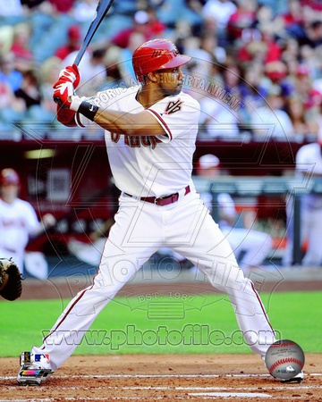 Arizona Diamondbacks - Chris Young Photo Photo