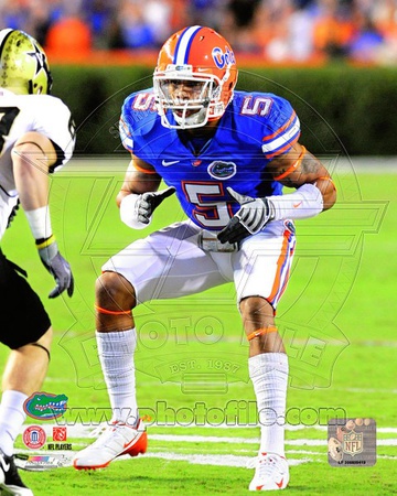 Florida Gators - Joe Haden Photo Photo