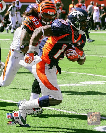 Denver Broncos - Eddie Royal Photo Photo