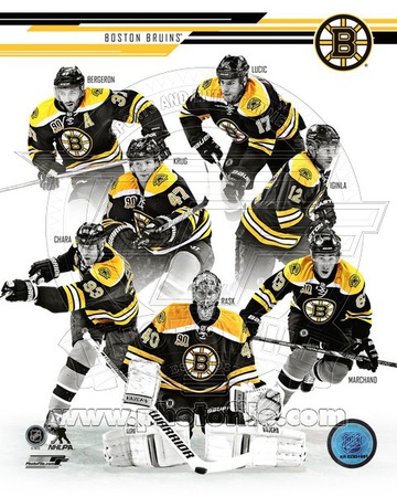 Boston Bruins - Jarome Iginla, Zdeno Chara, Tuukka Rask, Brad Marchand, Patrice Bergeron, Milan Luc Photo