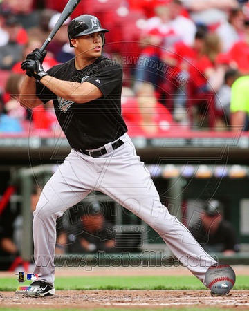 Miami Marlins - Mike Stanton Photo Photo