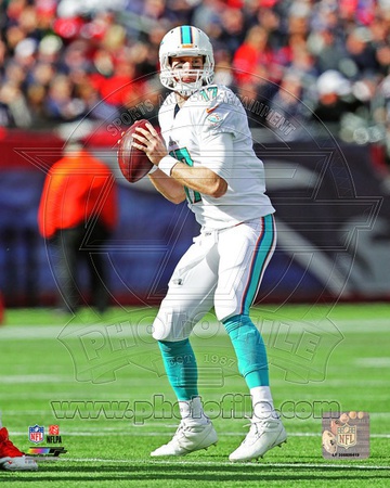 Miami Dolphins - Ryan Tannehill Photo Photo