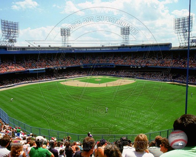 Detroit Tigers Photo Photo