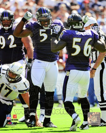 Baltimore Ravens - Terrell Suggs Photo Photo