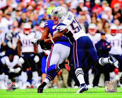 New England Patriots - TracY White Photo Photo