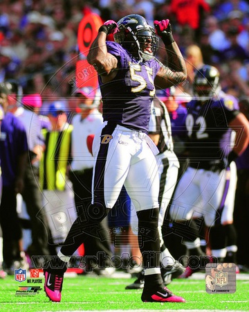 Baltimore Ravens - Terrell Suggs Photo Photo