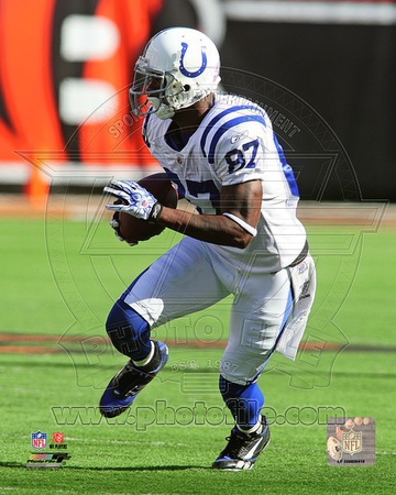 Indianapolis Colts - Reggie Wayne Photo Photo!