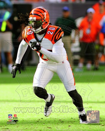 Cincinnati Bengals - Reggie Nelson Photo Photo