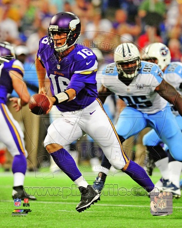 Minnesota Vikings - Matt Cassel Photo Photo