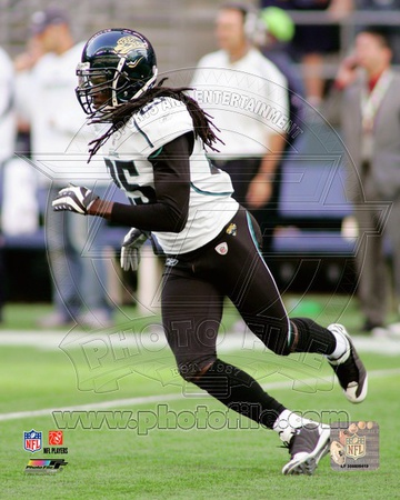 Jacksonville Jaguars - Reggie Nelson Photo Photo