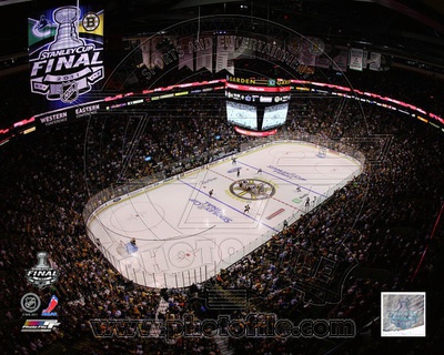 Boston Bruins Photo Photo