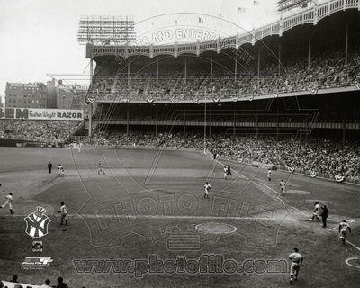 New York Yankees Photo Photo