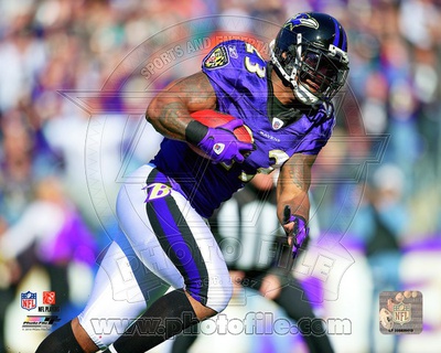 Baltimore Ravens - Willis McGahee Photo Photo