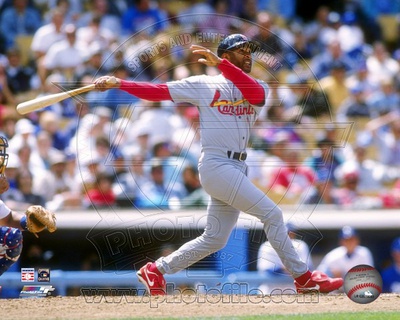 St Louis Cardinals - Ozzie Smith Photo Photo