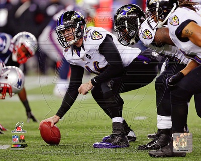 Baltimore Ravens - Morgan Cox Photo Photo