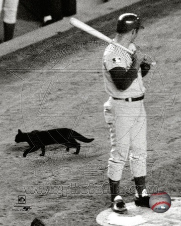 Chicago Cubs - Ron Santo Photo Photo