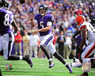 Baltimore Ravens - Joe Flacco Photo Photo