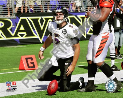 Baltimore Ravens - Joe Flacco Photo Photo