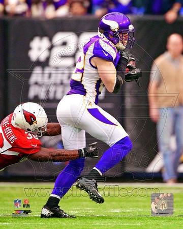 Minnesota Vikings - Harrison Smith Photo Photo