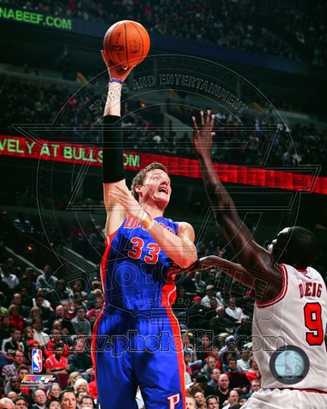 Detroit Pistons - Jonas Jerebko Photo Photo