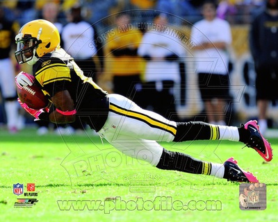 Pittsburgh Steelers - Emmanuel Sanders Photo Photo