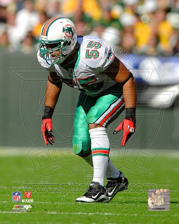 Miami Dolphins - Koa Misi Photo Photo