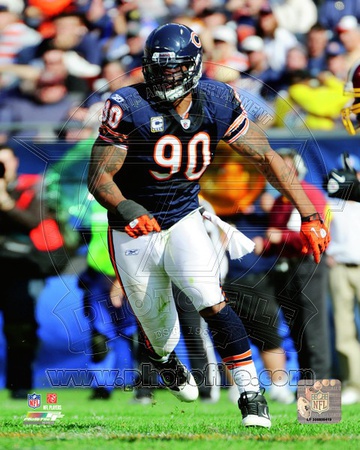 Chicago Bears - Julius Peppers Photo Photo