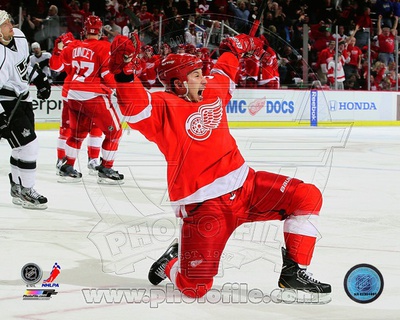 Detroit Red Wings - Jordin Tootoo Photo Photo