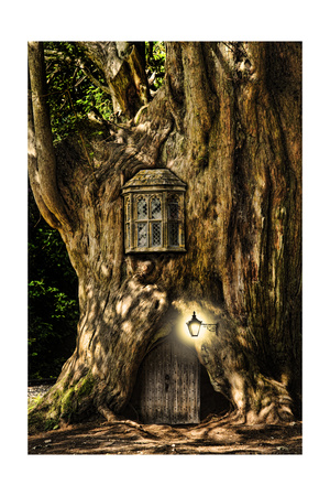 Fantasy Fairytale Miniature House In Tree In Forest Print by  Veneratio