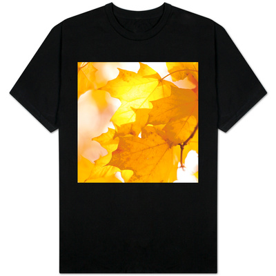 Autumn Leaves in Soft Sunshine III Shirt