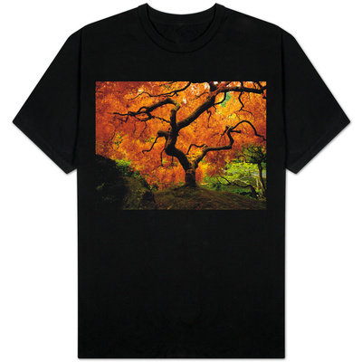 Maple Tree in Autumn T-shirts