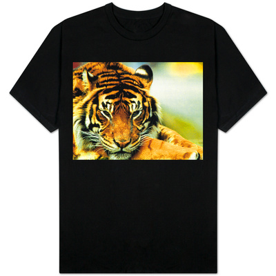 A Relaxed Tiger at London Zoo, April 1991 T-Shirt